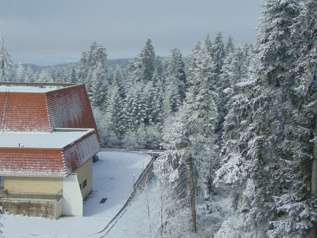 Ski Apartment Boyika Iglika 2 Borovets Esterno foto