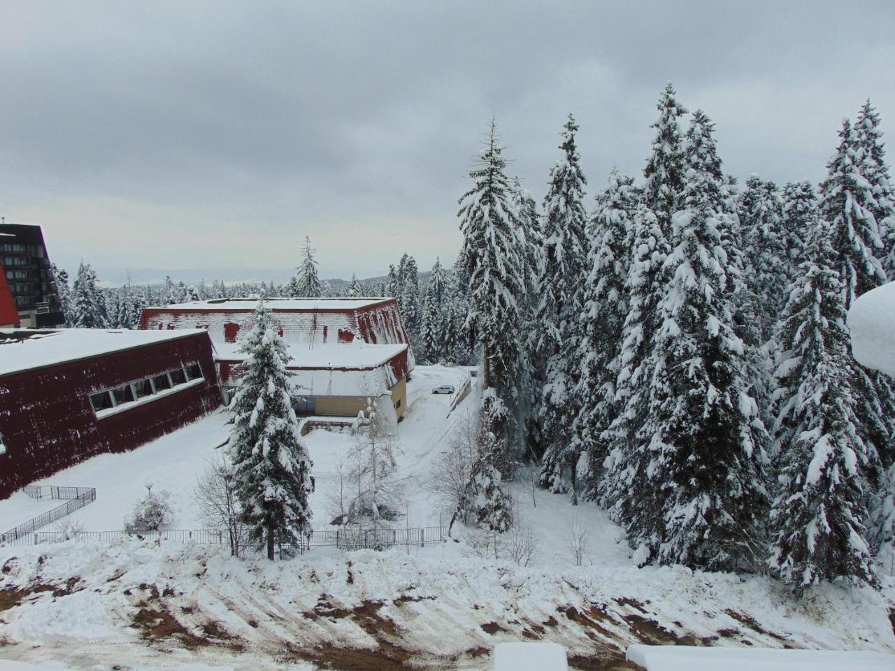 Ski Apartment Boyika Iglika 2 Borovets Esterno foto